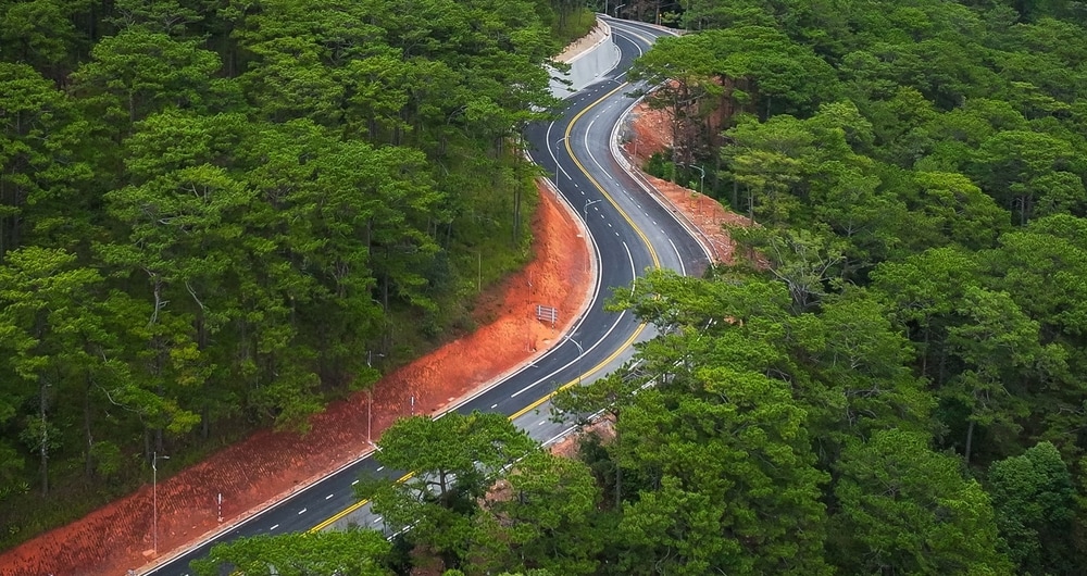 Đoạn rừng thông đèo Prenn trải dài 4km